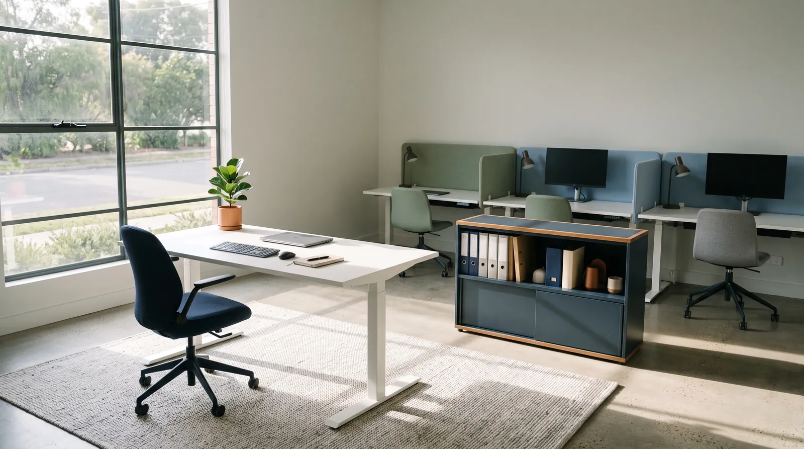 A calm, healthy modern workplace